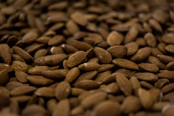 PR-Farms-Almond-Harvest-7822